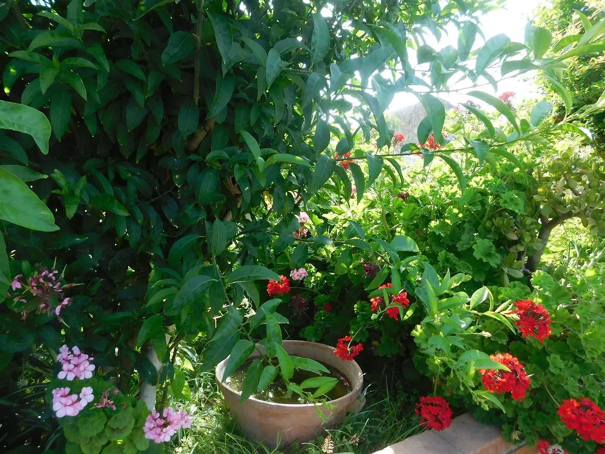 Stella Marina Sea & Sun Bed & Breakfast Cefalu