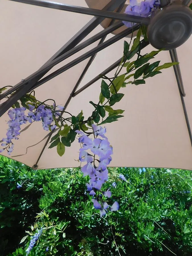 Stella Marina Sea & Sun Bed & Breakfast Cefalu Italy